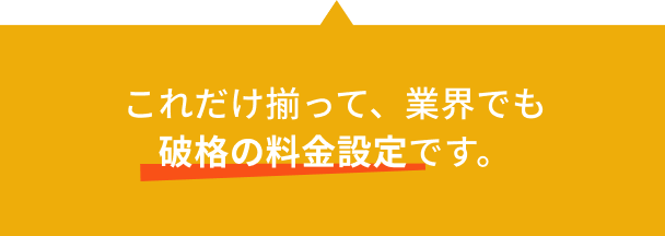 これだけ揃って、業界でも破格の料金設定です。
