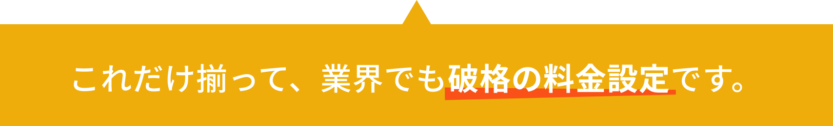 これだけ揃って、業界でも破格の料金設定です。